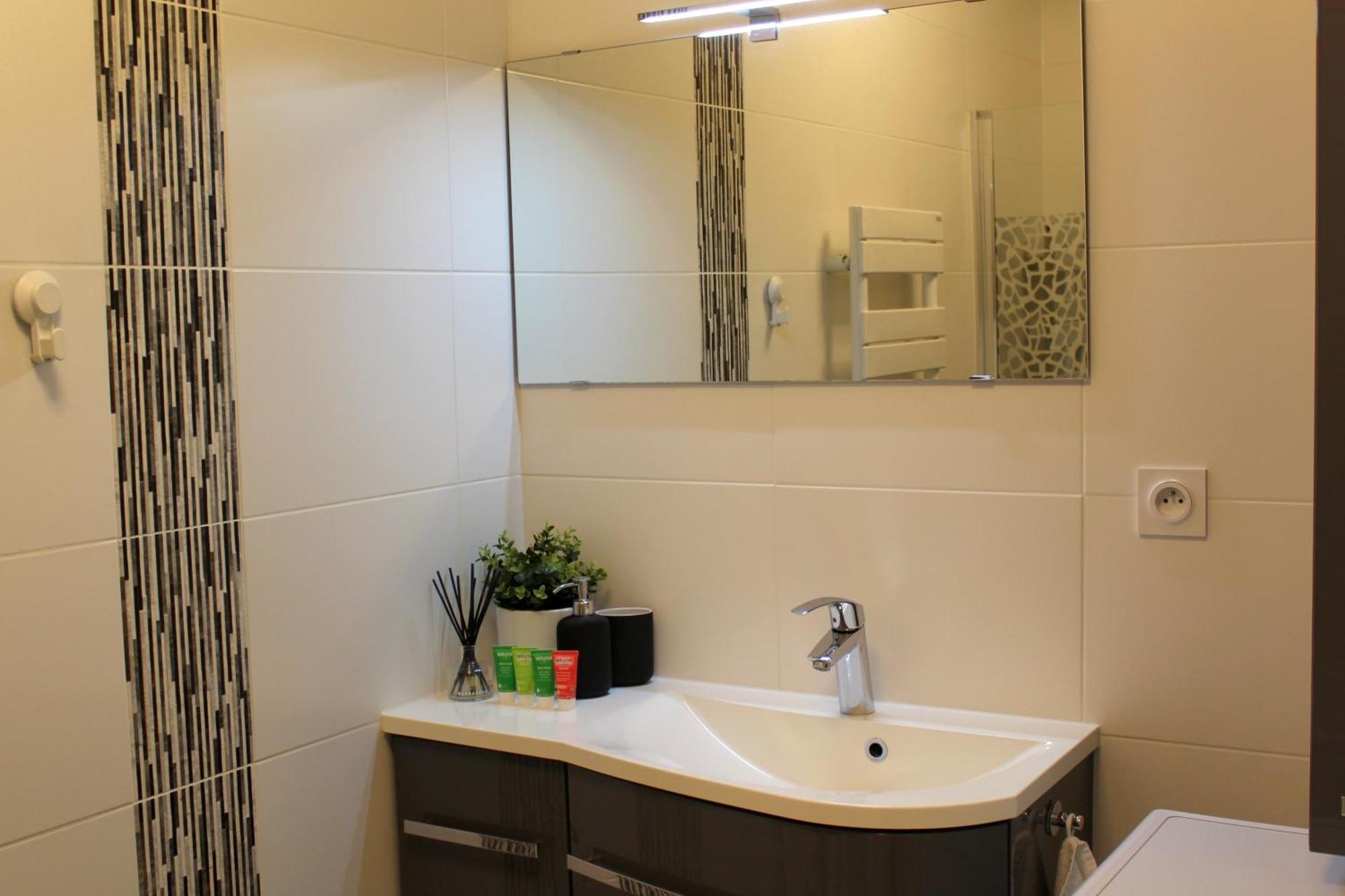 A Few Steps From Basel With Balcony And Free Private Parking Daire Saint-Louis  Dış mekan fotoğraf